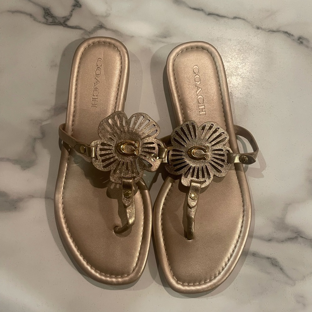 Coach flip flops